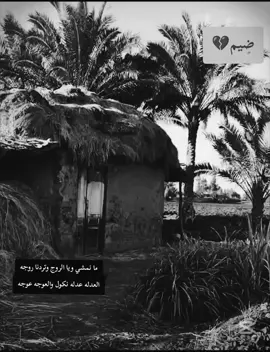 #اعادة_النشر🔃 #موالات_حزينة_عراقية💔 #طربيات_الزمن_الجميل_🎼🎶🎻♥️🌹 #الطرب_العراقي_الاصيل #الشعب_الصيني_ماله_حل😂😂 