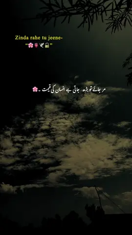 مر جاۓ تو بڑھ جاتی ہے انسان کی قیمت 🫠💔#fyp #1millionaudition #foryoupage #grow #account @TikTok 