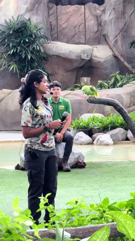 A visit to Singapore bird’s park at Mandai