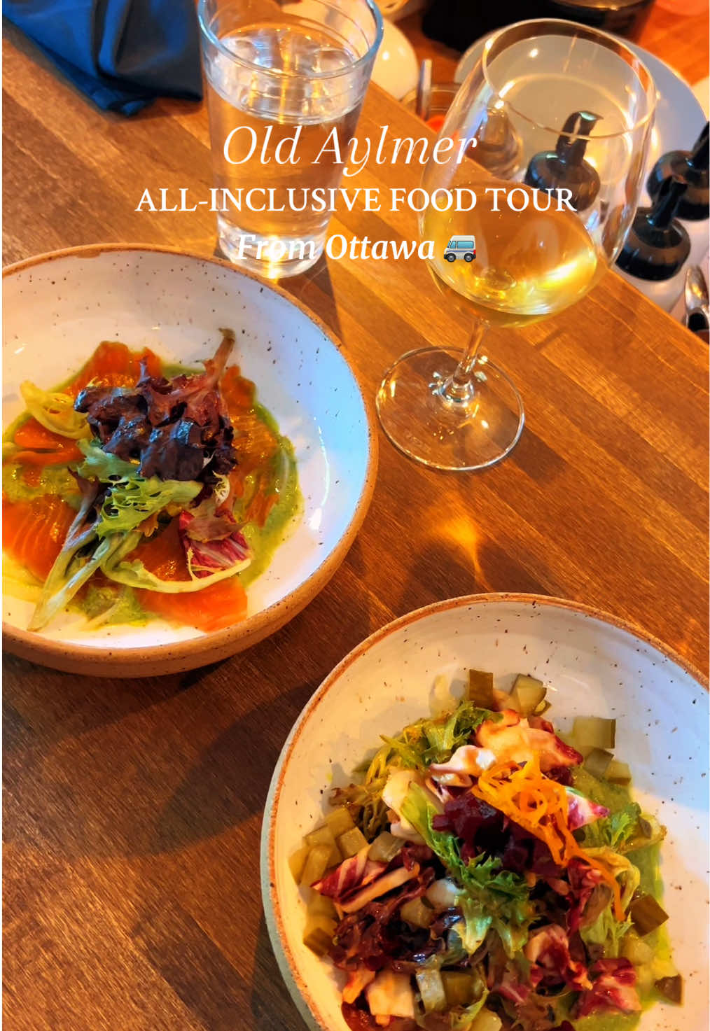 Details ⬇️ 🍷 Visit 5 incredible food and drink locations in the heart of Old-Aylmer which is full of history and amazing heritage buildings! ⛪️ 🙋🏻‍♂️This fully guided tour includes transportation from/to Ottawa and Gatineau 🚐 Check Aventure Outaouais for more info and for other tour options! 🍨 We had an amazing time at this tour and would highly recommend it! 😁  📍Aventure Outaouais  #ottawa #ottawalife #ottawacanada #outaouais 