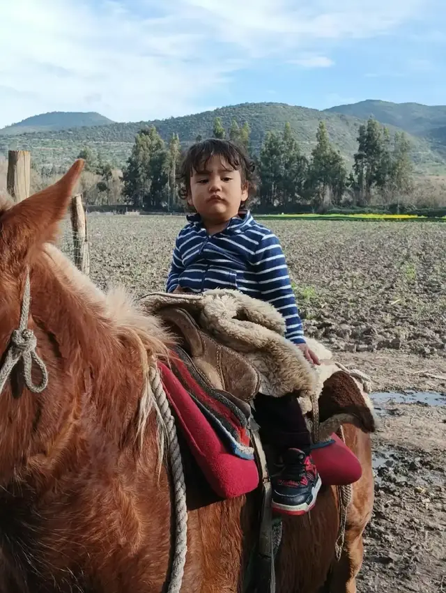 #caballos #campo #viral #.