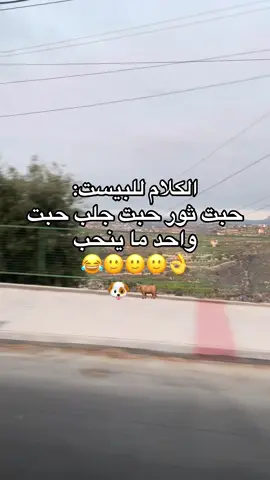 #الاخرس #fyp #pov #trend #الشعب_الصيني_ماله_حل😂😂 @akhras - الاخرس 😂🙂