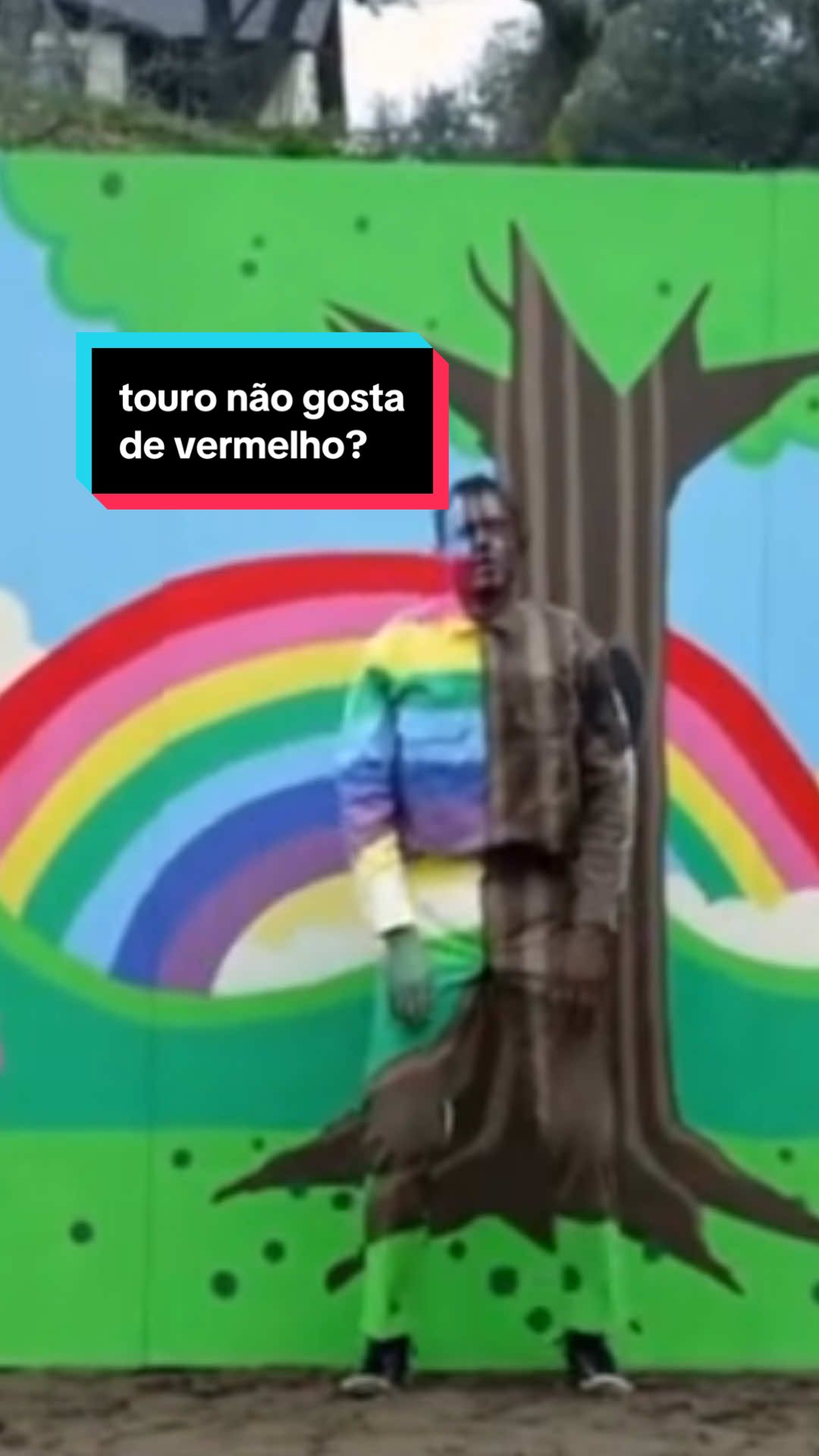 os touros não odeiam o vermelho 🐂 sjc: ok  #touro #mamiferos #biologia #ciência #animal