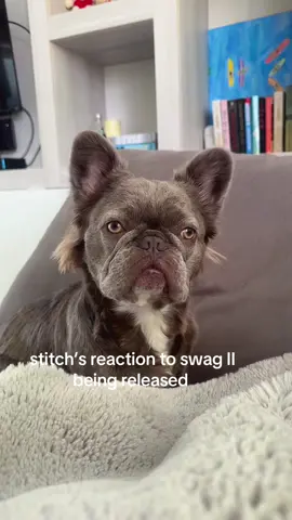 Stitch knows the name Justin Bieber in this house #swagii #justinbieber #rhode @Justin Bieber 