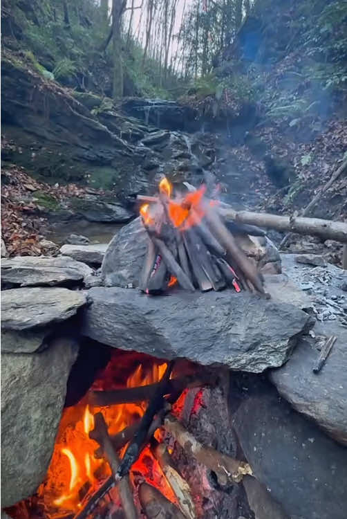 Salt-cured chicken grilled in mud in the wild 🐓🔥💦🌲 #cookingasmr #leon #outdoorcooking #chicken #cookingnature 