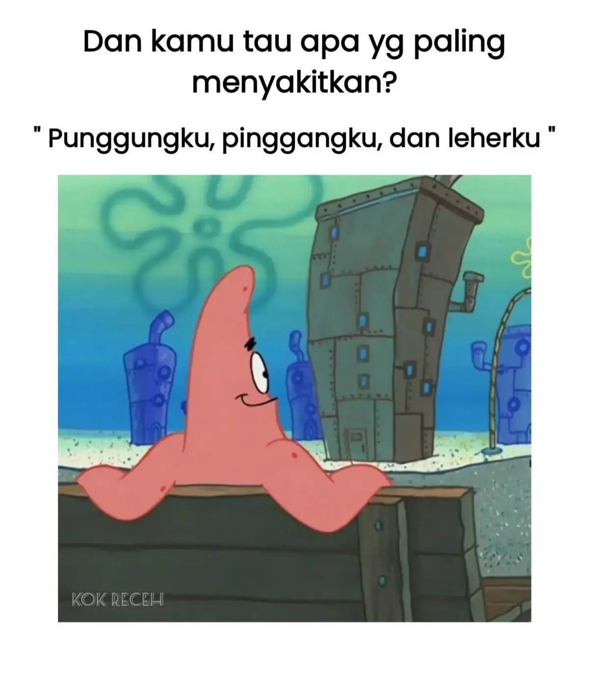 #meme 