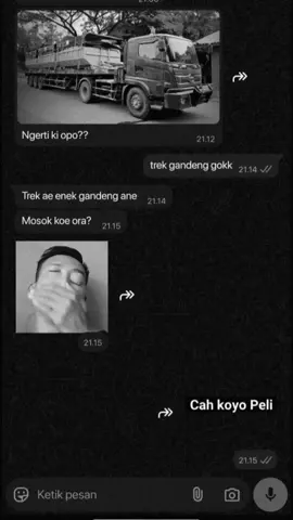 gok jaran#fyp #4u 