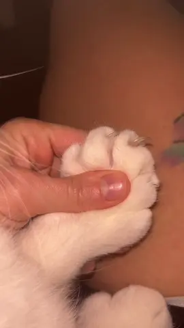 Mr. Thumbs with the perfect set 💅🏼