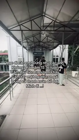#xuhuongtiktok 