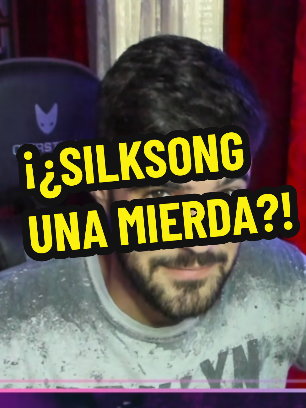 #hollowknight #silksong #videojuegos #goty #humor 