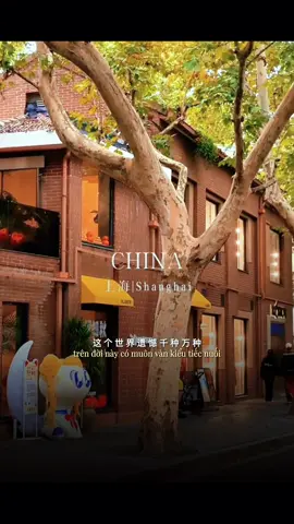 錯過的人不會再相見chuyến tàu ly biệt#nhachoa #taiwan🇹🇼việtnam🇻🇳 #chinesesong #nhachaymoingay #nhactamtrangbuon 