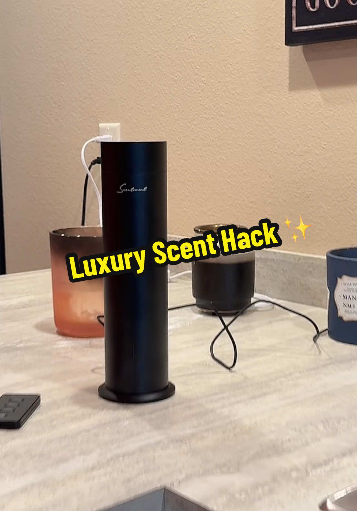 Makes our basement smell like a luxury hotel instead of litter boxes.  #ScentimentDiffuser #LuxuryHomeScents #PetOdorHack #HotelVibes #TikTokShop