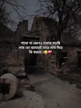 পাবো না জেনেও মায়ায় পড়ছি দোষ তো আমারই তারে দোষ দিয়ে কি করবো.!😊❤️‍🩹 #status #foryoupage #unfreezemyacount #growmyaccount #afjal_780 @TikTok @TikTok Bangladesh @tiktok creators @For You House ⍟ 