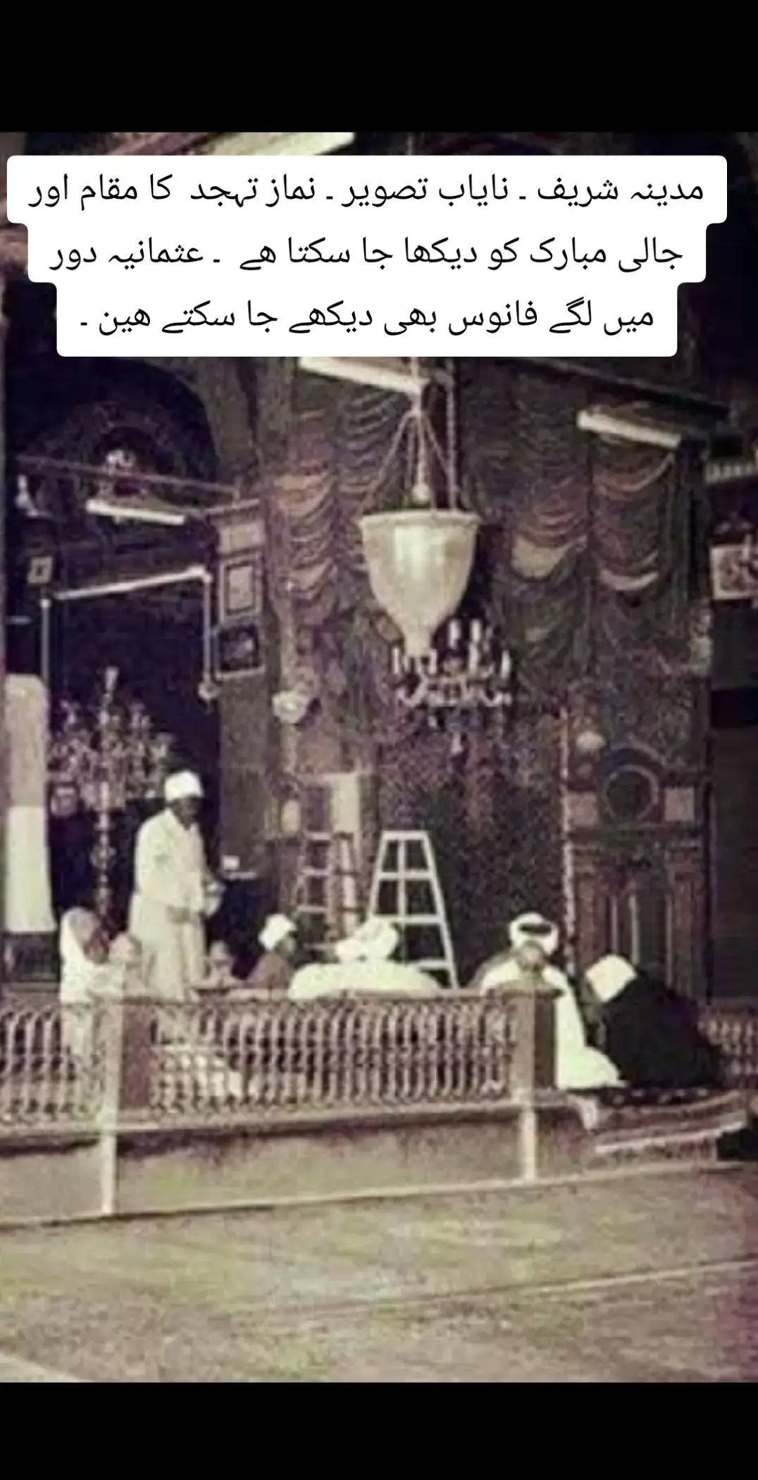 #madina #القران_الكريم #whatsappstatus #ربیع_الاول_مبارک_ہو #makkah 