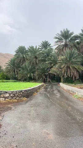 #سلطنة_عمان🇴🇲 #امطار 