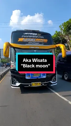 Bahtera cinta terlupakan well💆‍♂️ #akawisata #akawisatablackmoon #huntingbus📸 #fyp  @BLACK MOON LOVER'S  @#RudyLeo  @AKA WISATA  @AKA_WISATA_GANK  @AbangBasuri  @KULO KEVIN  @MS_EZ  @VVIP GANK  🎥 : @Arjuna          @MSB GANK 