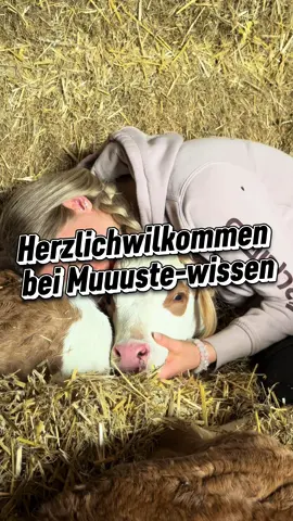 Wusstet ihr, dass weibliche Zwillingskälber neben einem Bullen zu 90–95 % unfruchtbar sind? 🐄 Mehr dazu erfahrt ihr in diesem Video #landwirtschaft #landwirtin #kuh #rind #kalb