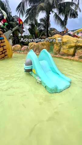 Adrenaline pura ☠️ #adrenaline #adrenalinepura #VinWonders #GreenCreator #dulich