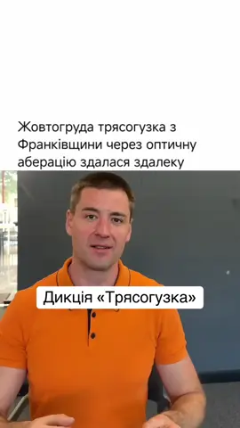 Жовтогруда трясогузка з Франківщини через оптичну аберацію здалася здалеку ошелешеним орнітологам з Франкфурта журавлеподібним туркестанським яструбом — з дзьобом, зябрами, зобом і зубом. При ближчому спостереженні Бахчисарайський професорсько-викладацький консиліум ідентифікував курку свійську звичайну. А співробітники Азово-Чорноморської орнітологічної станції та представники бакалаврату Інституту зоології факультету біоспелеології імені Шмальгаузена постановили: — Не турбуй турка курку — нехай курка клює крупку! Прокачай дикцію та голос у «Вільномов 13.0»