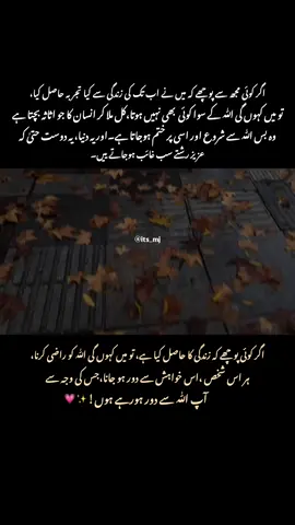 اصل خسارا تو رب کو کھو دینا ہے پھر لوگ کیوں لوگوں کو کھونے سے ڈرتے ہیں❤️‍🩹 . . . Unfreeze my account tiktok . . . #creatersearchingsight #novelslover #fryofficialpage #viewsproblem #fryofficialpage 