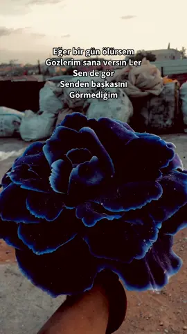 @FERHAT DOO 💎 @Ş𝓮𝔂𝓱𝓶𝓾𝓼 @Müslüm 21 @jiyan istek21 @💜CUMALİ💜 