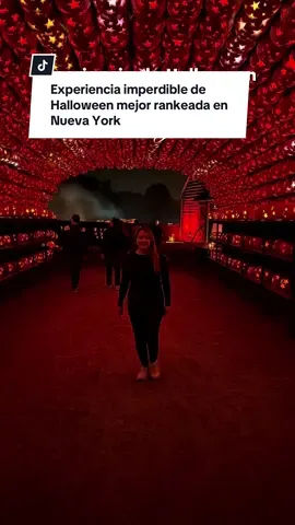 The great jack o'lantern blaze está en Van Cortlandt Manor, Croton-on-Hudson, New York (Hudson Valley). Ha sido mencionada en el New York Times, y es considerada la mejor experiencia de Halloween con más de 7,000 pumpkins. (Las decoraciones de este video podrían variar, ya que son del año pasado en otra locación) Este año habrá nuevas exhibiciones: New York Landmarks, wizard of Oz display, tavernas como el jinete sin cabeza (con bebidas y snacks) con costo adicional. Los tickets ya están disponibles en pumpkinblaze.org. Si te gustó este video, dale like, compártelo con quie quieras ir y sígueme para más de Nueva York. #nycthingstodo #nychalloween #thegreatjackolanternblaze #nycautumn #halloween 