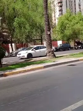 #بغداد_شارع_حيفا 💫🥀