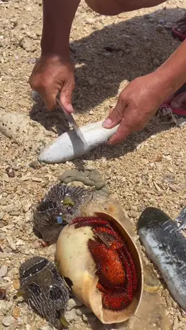 #mukbangvideo #viral #seafood #cooking #Outdoors 