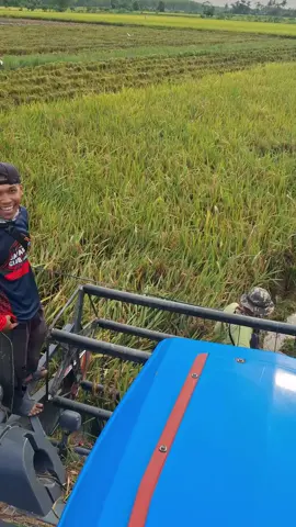 babatan nanggung🤣#combineharvester #fyppppppppppppppppppppppp 