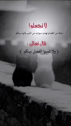 لاتجعل ساعة من الخصام تهدم سنوات من الحب والود بينكم #مشاهدات_تيك_توك #اكسبلورexplor #أعادة_نشر🔃 #تناهيد_القلب 