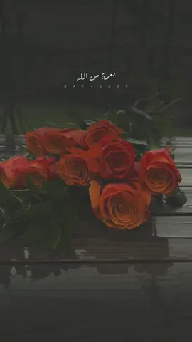 وجود الأرواح الطيبة في حياتنا نعمة 🤍🤍 