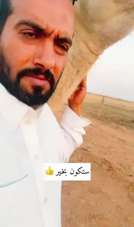 عدنا لكم .. الابيات للشاعر العملاق / خالد مبارك المشعلي #foryou #fyp #foryoupage #اكسبلور #اكسبلورexplore #الشعب_الصيني_ماله_حل😂😂 #حمود_الاول #viral #الابل #الهشتاقات_للشيوخ 