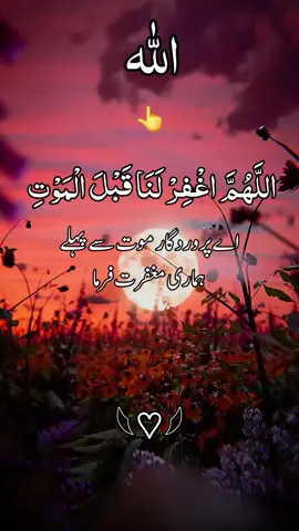 #creatorsearchinsights اللَّهُمَّ اغْفِرْ لَنَا قَبْلَ الْمَوْتِ اے پروردگار موت سے پہلے ہماری مغفرت فرما #Uk Monitize Accounts Available Is Tarah ke Paid Editing ke Liay Group Join Kry#سبحان_الله_وبحمده_سبحان_الله_العظيم🤲🦋 #ارح_سمعك_بالقران_الكريم_أجر_لي_ولكم💚🕊 #اللهم_صل_وسلم_وبارك_على_نبينا_محمد @📖𝑯𝑶𝑳𝒀 𝑸𝑼𝑹𝑨𝑵📖 @🌹📖𝙃𝙤𝙡𝙮 𝙌𝙪𝙧𝙖𝙣 📖🌹 @📖☆𝙃𝙊𝙇𝙔 𝙌𝙐𝙍𝘼𝙉☆📖 @🌷📖القرآن الکریم📖🌷 @Ahmad kabeer @꧁༒HOLY QURAN༒꧂ 