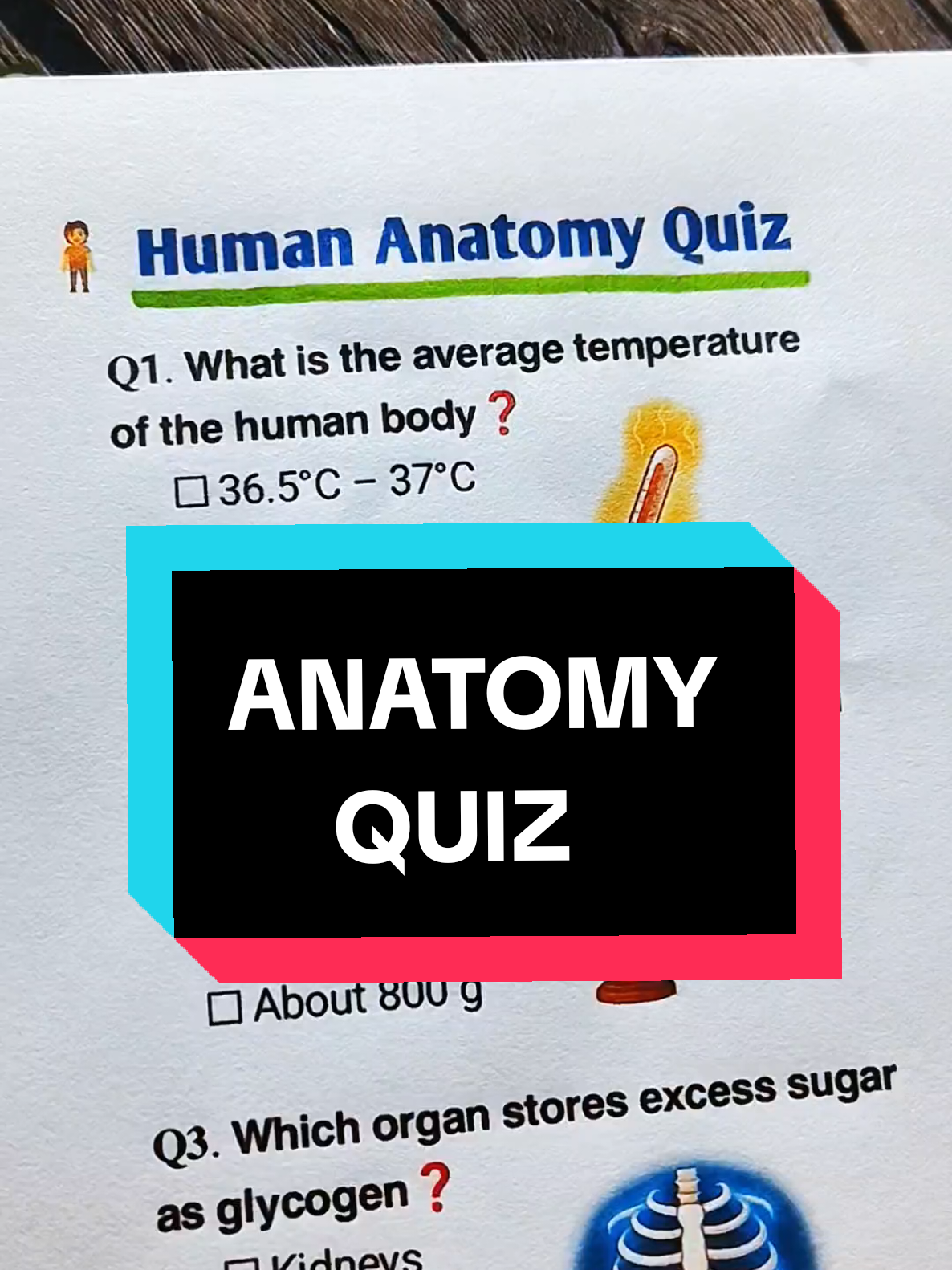 Anatomy Quiz - Can you get all correct? #quiztime #anatomy #quiz #trivia #foryou 