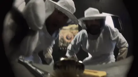 Bee pov (1)#pov