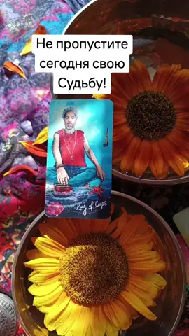 Сегодня вы можете встретить свою Судьбу!  #969 #рекомендації #fypシ゚ #foryou #fyp 