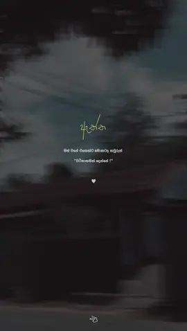 Hmm🤍! #dhanuquotes #foryoupage #trending #viral #fypシ゚ 