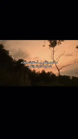 كلام... 💔#علي_الوائلي #ياعلي #ستوريات #شعراء_وذواقين_الشعر_الشعبي🎸 