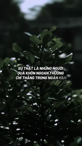 💥🪷Lợi mình - lợi người mới bền vững lâu dài. Một khoản hời trước mắt sẽ hủy hoại tương lại dài phía trước #ngộđểan #phatphapnhiemmau #cliptrieuwiew #xuhuong #xuhuongtiktok 