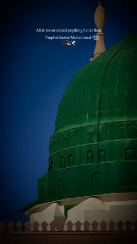 #ShiaReels #ShiaIslam2025 #ShiaVoices #ShiaContentCreator #ShiaRevival Allah never created anything better then  Hazrat Muhammad( saww) 💯💫🕊️