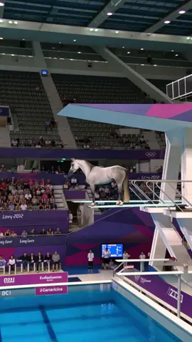 what the best jump? #ai #olympics #olympic #olimpiadas 