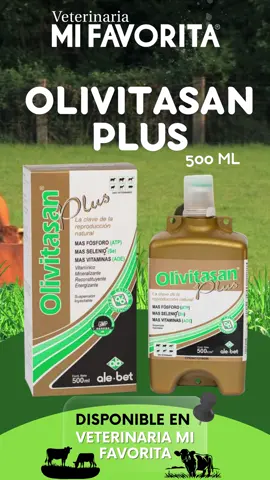 🌿✨ Dale un impulso de salud y energía a tus animales con Olivitasan Plus 💪🐾 ✅ Refuerza el sistema inmunológico, ayudando al cuerpo a combatir infecciones y enfermedades. ✅ Sus propiedades antioxidantes protegen las células contra el daño, previniendo el envejecimiento prematuro y mejorando el bienestar general. Con Olivitasan Plus tus animales estarán más fuertes, saludables y con defensas listas para cualquier desafío. 🐄🐑🐕 📍 Encuéntralo en nuestras sucursales Veterinarias Mi Favorita. 📲Veterinaria Mi Favorita Central: https://wa.link/4bqag0 📲Veterinaria Mi Favorita Guanuca: https://wa.link/prkh84 📲Veterinaria Mi Favorita Waslala: https://wa.li#Matagalpa 🚚 Parqueo exclusivo para clientes 