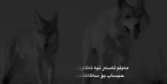 #talo_rash #foryou 