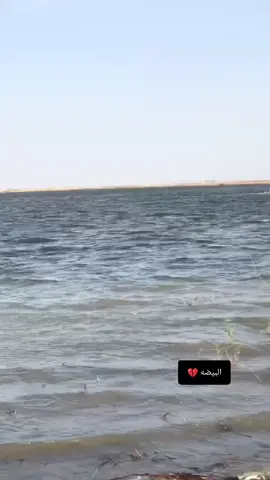 #الهصاصره 