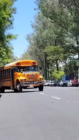 Gabriela 🚍🇬🇹 #parati #pyf #viral #busesguatemala #fyp 