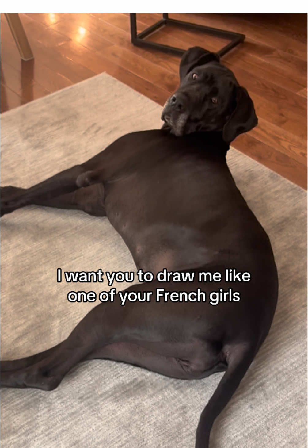 Somebody get this girl a chaise lounge 😆 #greatdanesoftiktok #greatdane #funnypets #titanic #paintmelikeoneofyourfrenchgirls 