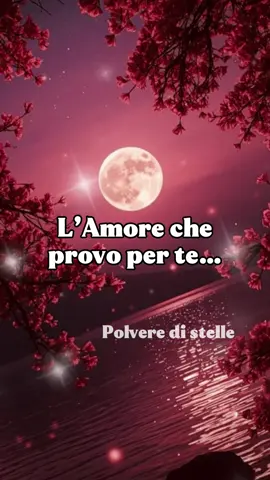 L’amore che provo per te non avrà fine 💕 #dedicadamore #amoremio #poesiadamore #polveredistellestore 
