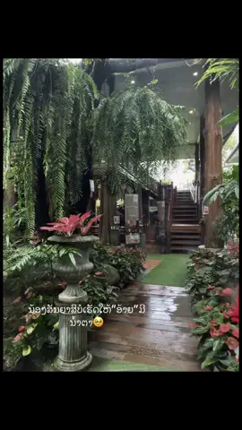 ສັນຍາ😘#เทรนด์วันนี้ #ກົດໃຈໃຫ້ແນ່ເດີ😝♡ #ລີໂພສໃຫ້ຫອມແກ້ມ😜 #ຟີດຄົນຫນ້າຮັກ💗✨