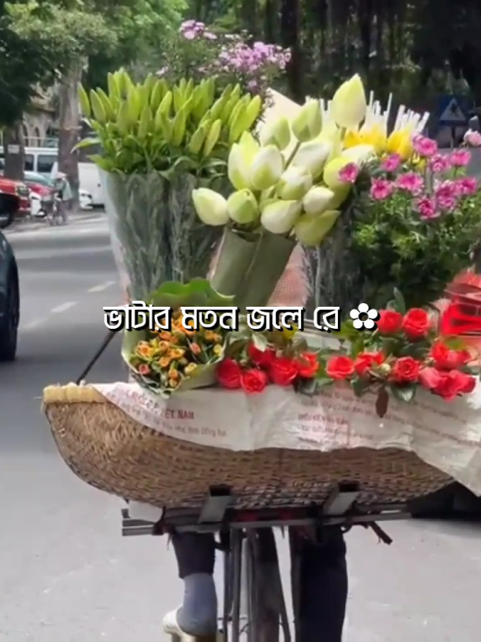 -কোন দোষেতে ছাইড়া গেলি..? -দিবি কি তার জবাব-😆💔 #lyrics_emon2 #lyrics #foryou #tik #bad_buzz_society @TikTok Bangladesh @TikTok 
