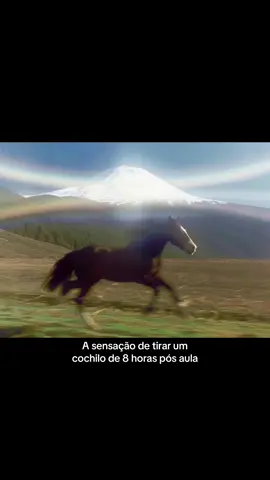 Indo fazer isso agr bjs #wildhorses 